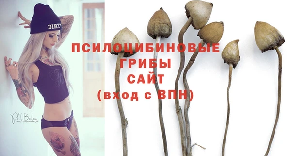 дмт Алексин