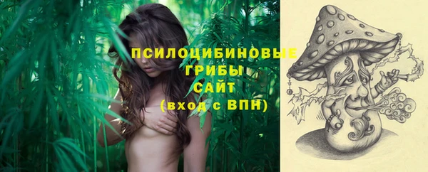 твердый Алексеевка