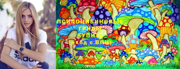 дмт Алексин