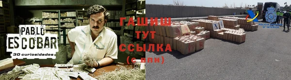 дмт Алексин